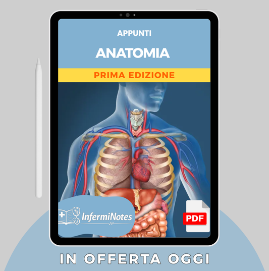 Anatomia