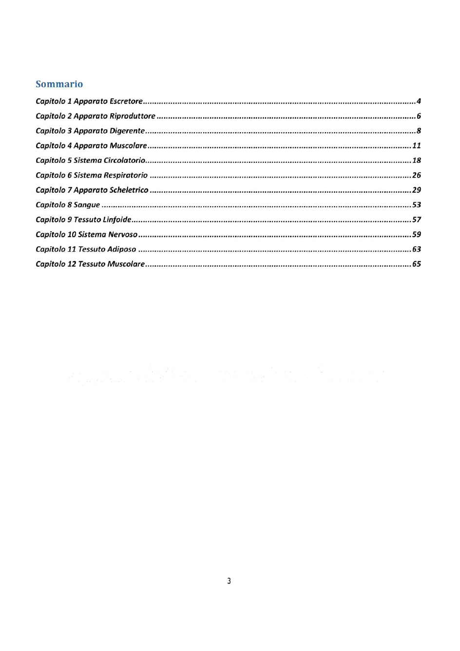 Anatomia 2