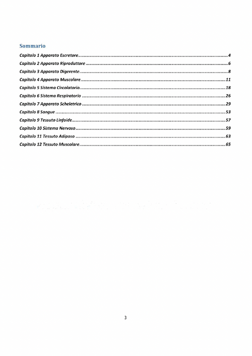 Anatomia 2